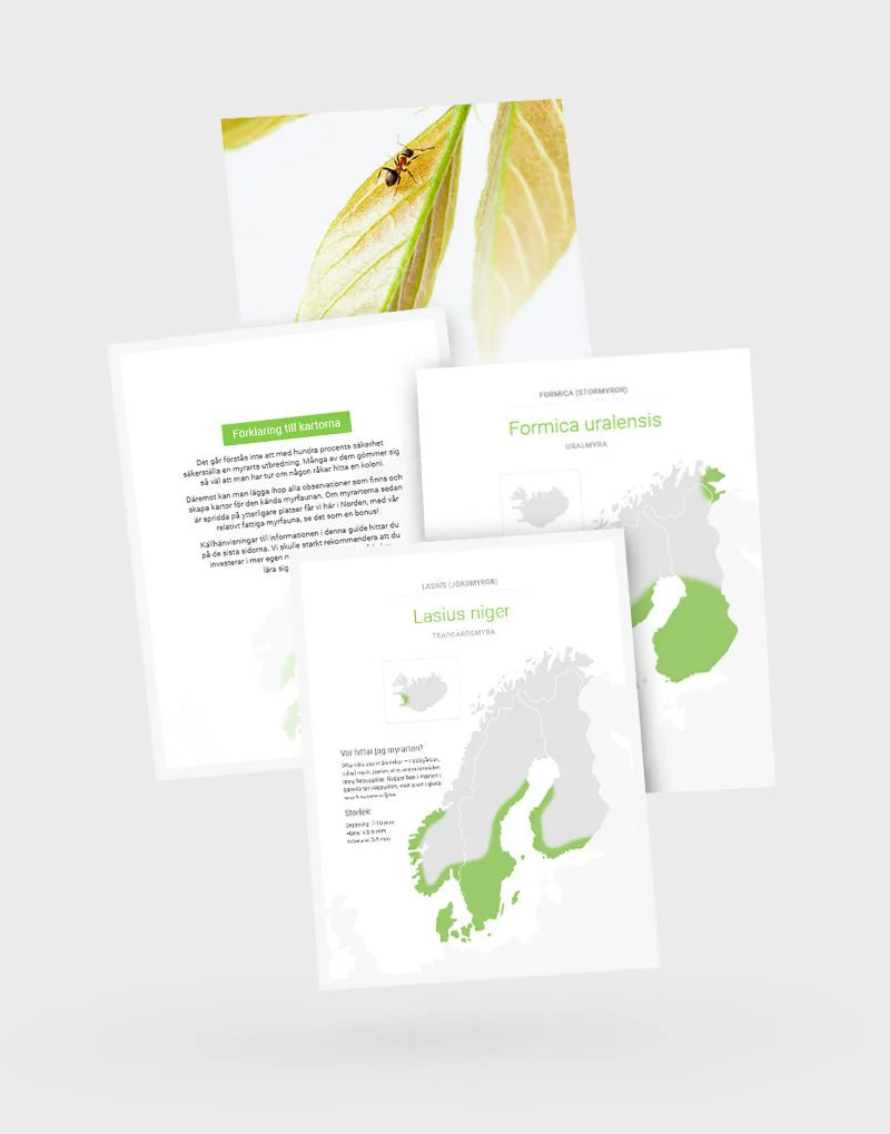 Nordens myrkartor (pdf) - Image 2